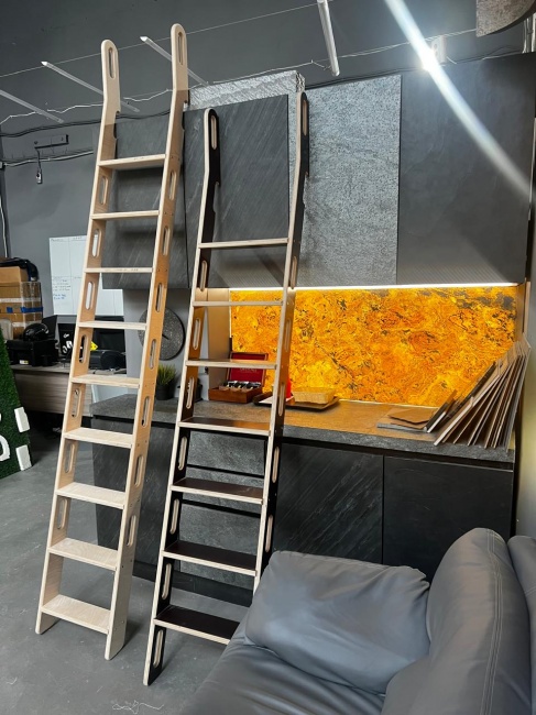 Лестница приставная с длинными поручнями комфорт окрашенная